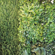 Cómo decorar el jardín con poco mantenimiento