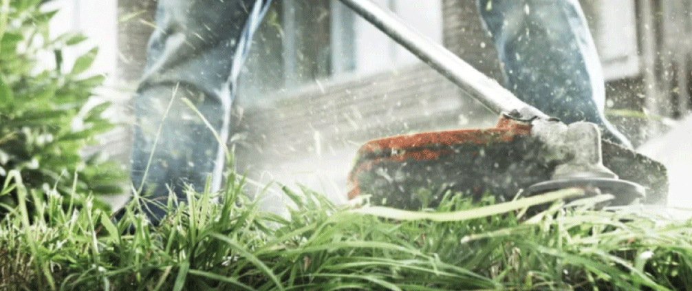 Cómo elegir una desbrozadora