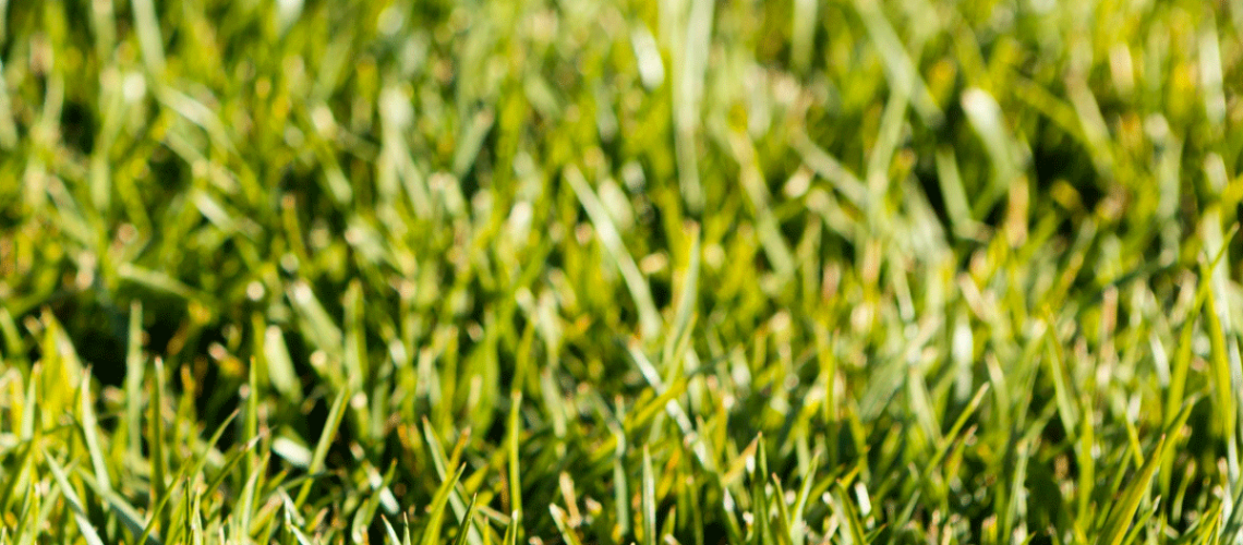 Captura de pantalla 2025-11-18 a las 18.10.35